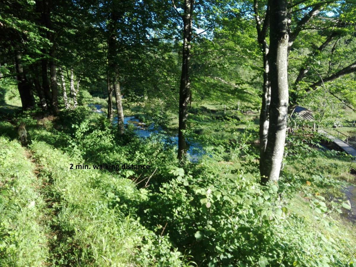 House By The River Plitvica selo Luaran gambar
