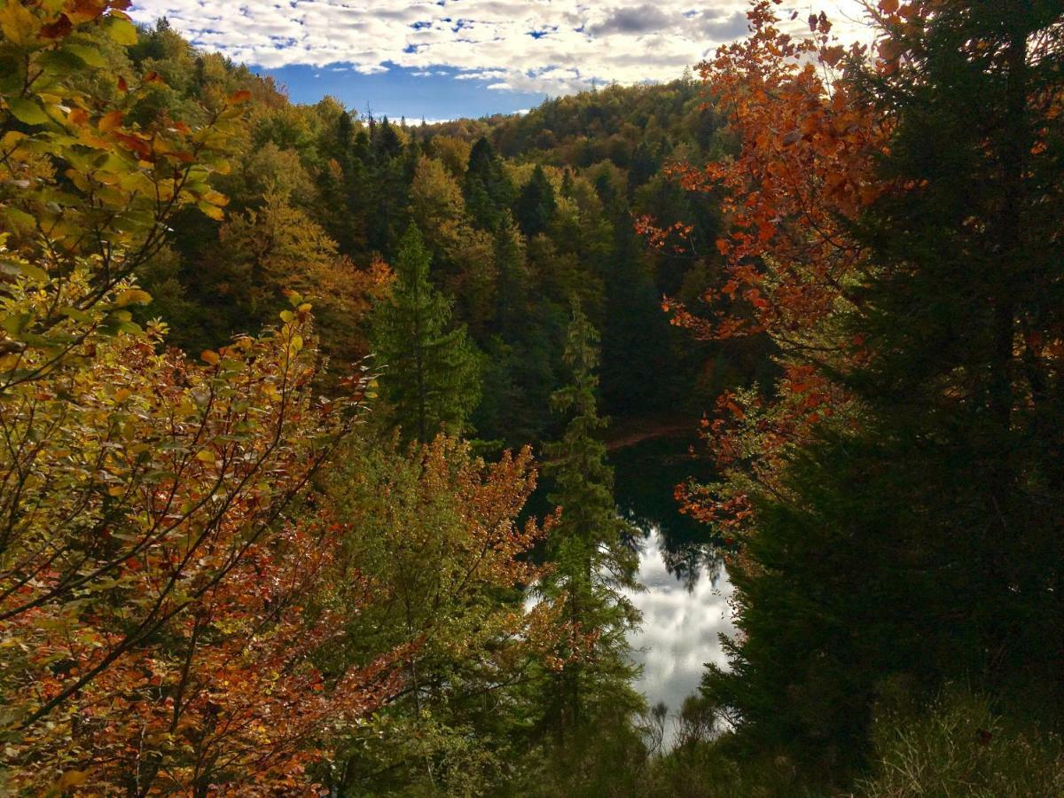 House By The River Plitvica selo Luaran gambar